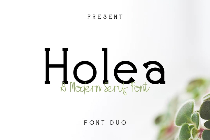 フォント Holea